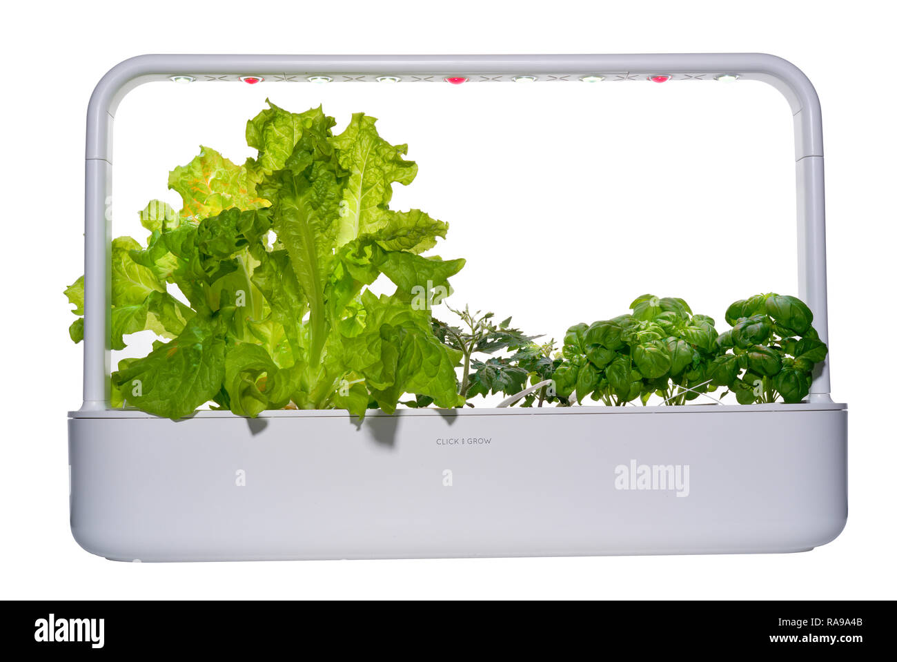 Smartgarden avec laitue, tomate et basilic plantes poussant sous des lumières DEL. Banque D'Images
