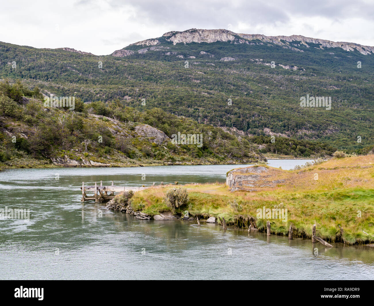 Sentier de randonnée de l'Île, Paseo de la isla, le long du fleuve Lapataia en parc national Terre de Feu, Patagonie, Argentine Banque D'Images