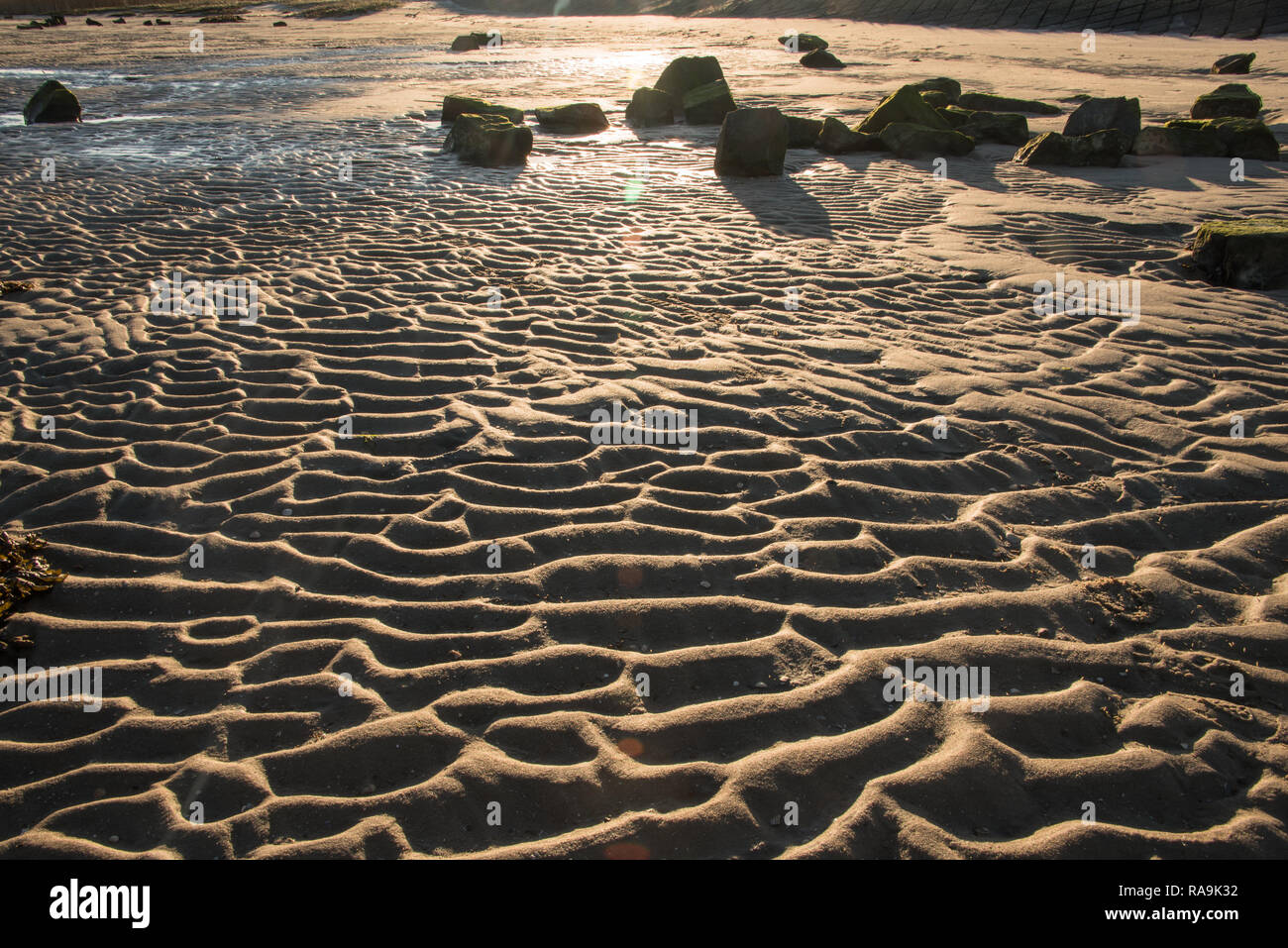 Modèle de vagues de sable sur la plage, dans la lumière du soir Banque D'Images
