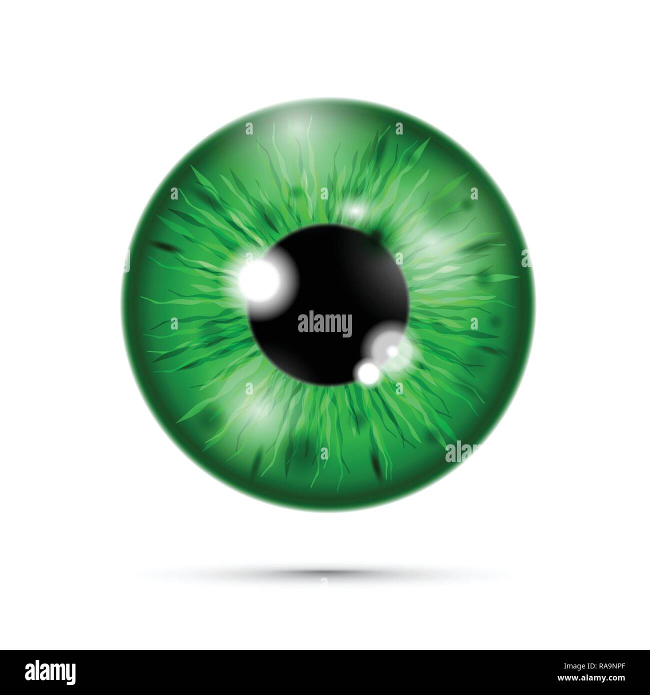 Green Globe oculaire réaliste Illustration de Vecteur