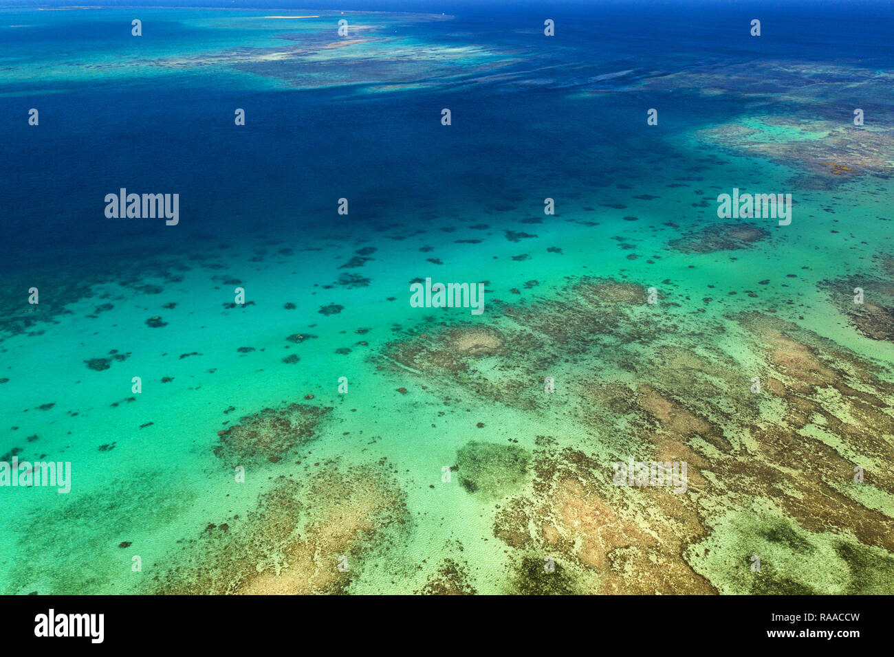 Vue aérienne de spectaculaires récifs de corail et les eaux turquoises sur Kondoi, plage de l'île de Taketomi, Yaeyama, Okinawa, Japon, prise par drone Banque D'Images
