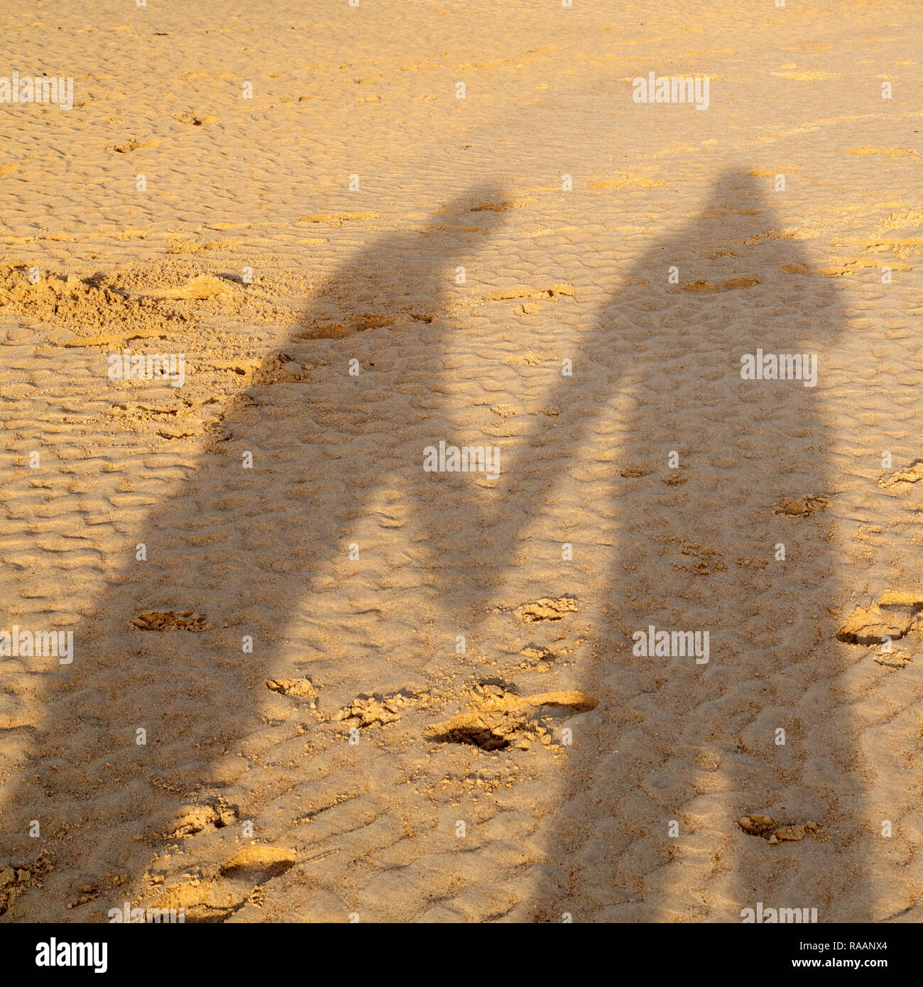 Ombre d'un couple en train de marcher main dans la main sur une plage dans le Northumberland, en Angleterre. Des empreintes de pas sont imprimés dans le sable doré. Banque D'Images