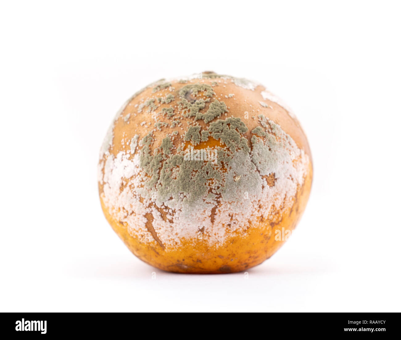 Moisis pourris et orange sur fond blanc Banque D'Images