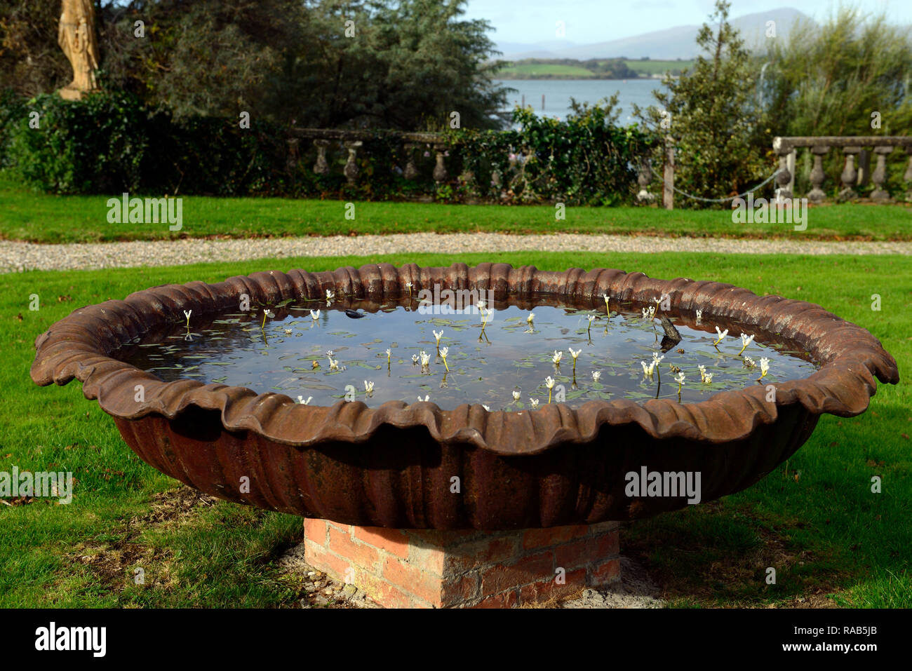 Bassin d'huîtres,urn,jardin,fonction,étang,rare,forme,en fonte,EN,forme,shell Bantry House and Gardens, West Cork garden tra Banque D'Images