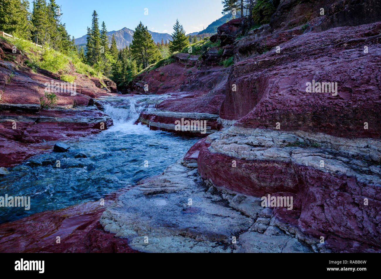 Red Rock Canyon, vallée de Blakiston, Waterton Lakes National Park, Alberta, Canada Banque D'Images