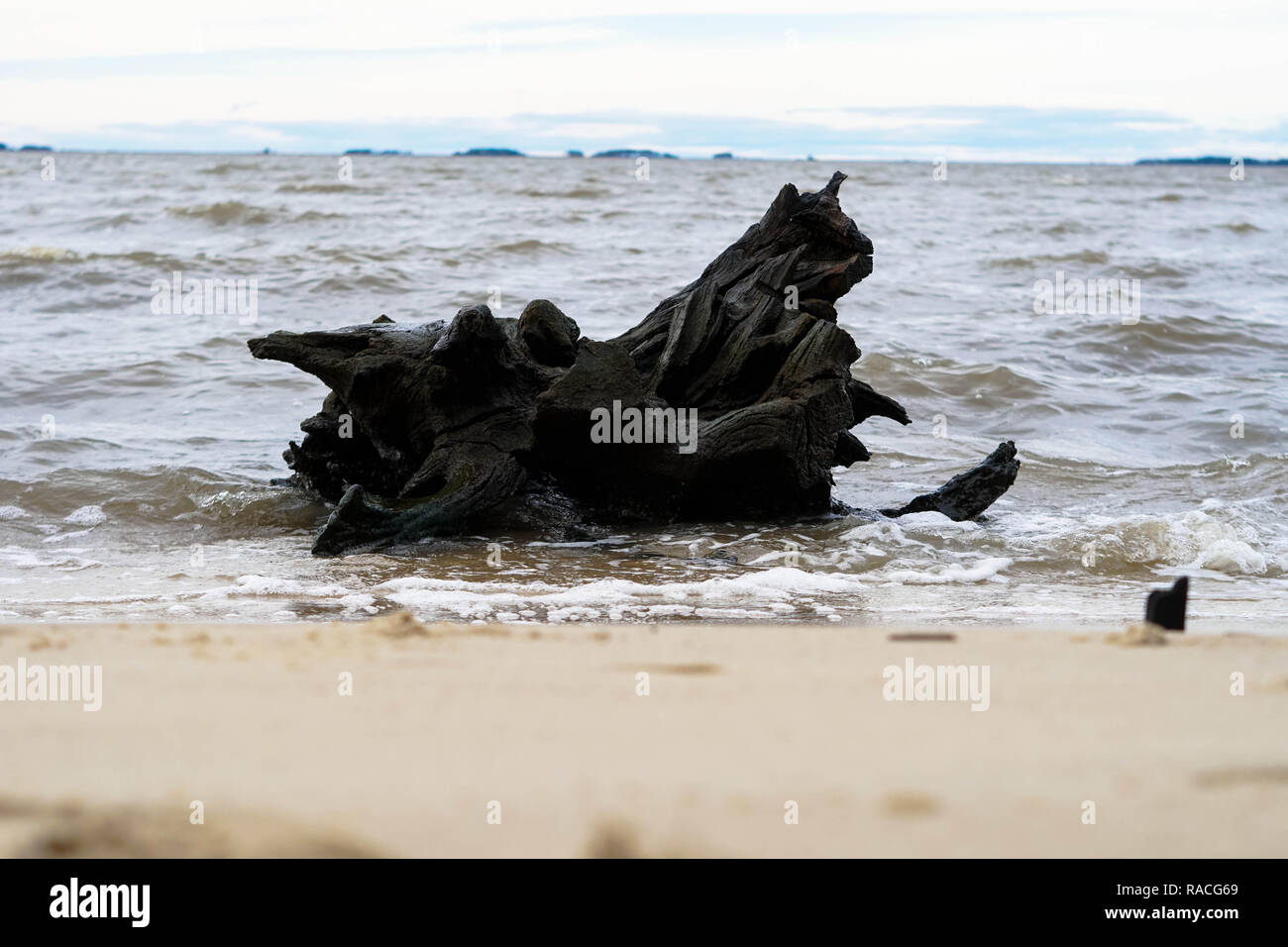 Driftwood sur une plage dans le Maryland obtenir éclaboussé avec de l'eau Banque D'Images
