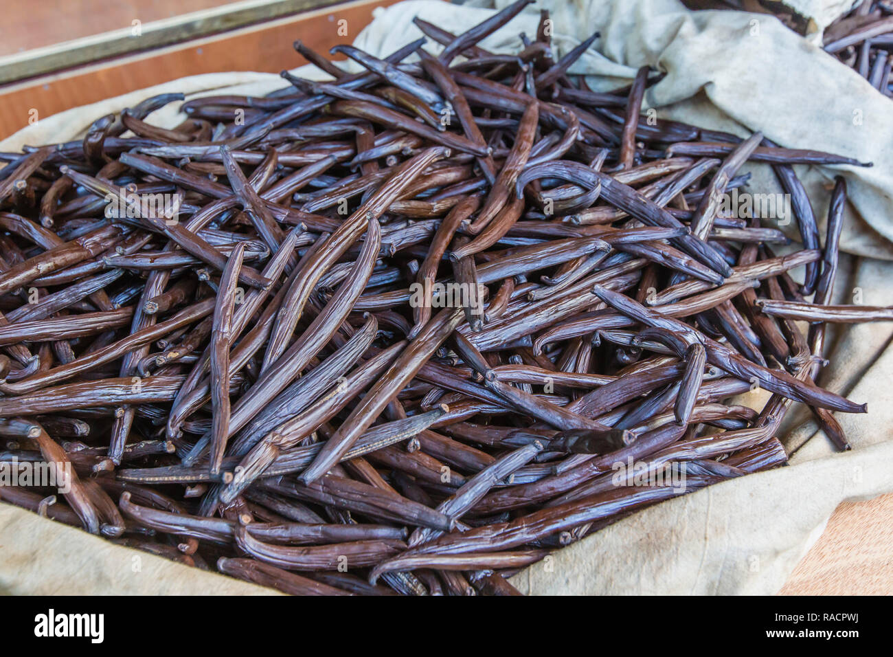 Gousses de vanille la vallée de la plantation de vanille séchant au soleil sur Taha'a, îles de la société, Polynésie Française, Pacifique Sud, du Pacifique Banque D'Images