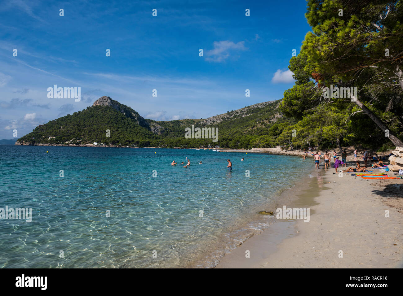 Plage Cala Formentor, Cap Formentor, Majorque, Iles Baléares, Espagne, Méditerranée, Europe Banque D'Images