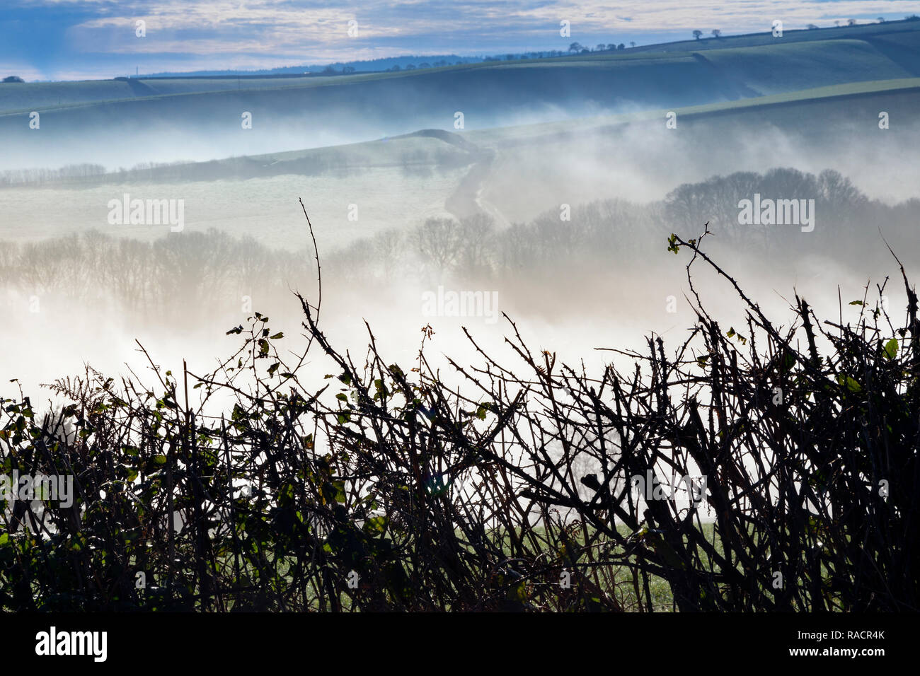 Devon Woods, voiture, la température froide, Danger, sombre, le jour, l'environnement, de la fantaisie, de la brume, Forêt, couleur verte, Banque D'Images