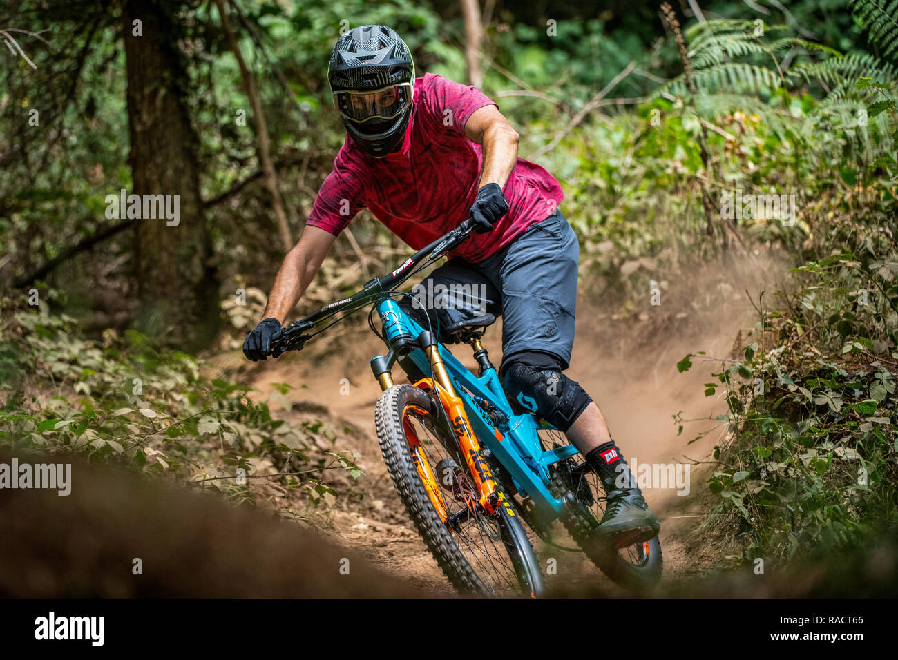 Un homme monte un vtt sur un sentier poussiéreux à Ashton Hill plantation près de Bristol au Royaume-Uni. Belmont Banque D'Images