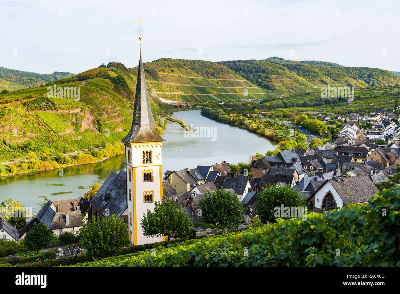 Au-dessus des vignes Bremm sur la Moselle, Rhénanie-Palatinat, Allemagne, Europe Banque D'Images