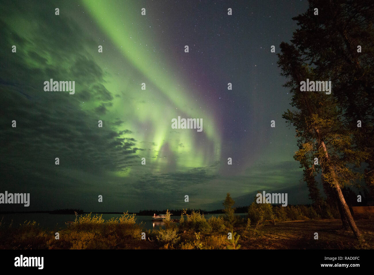 Les aurores boréales dans le ciel nocturne au-dessus du lac Ditzel dans le nord du Manitoba, au Canada, en Amérique du Nord Banque D'Images