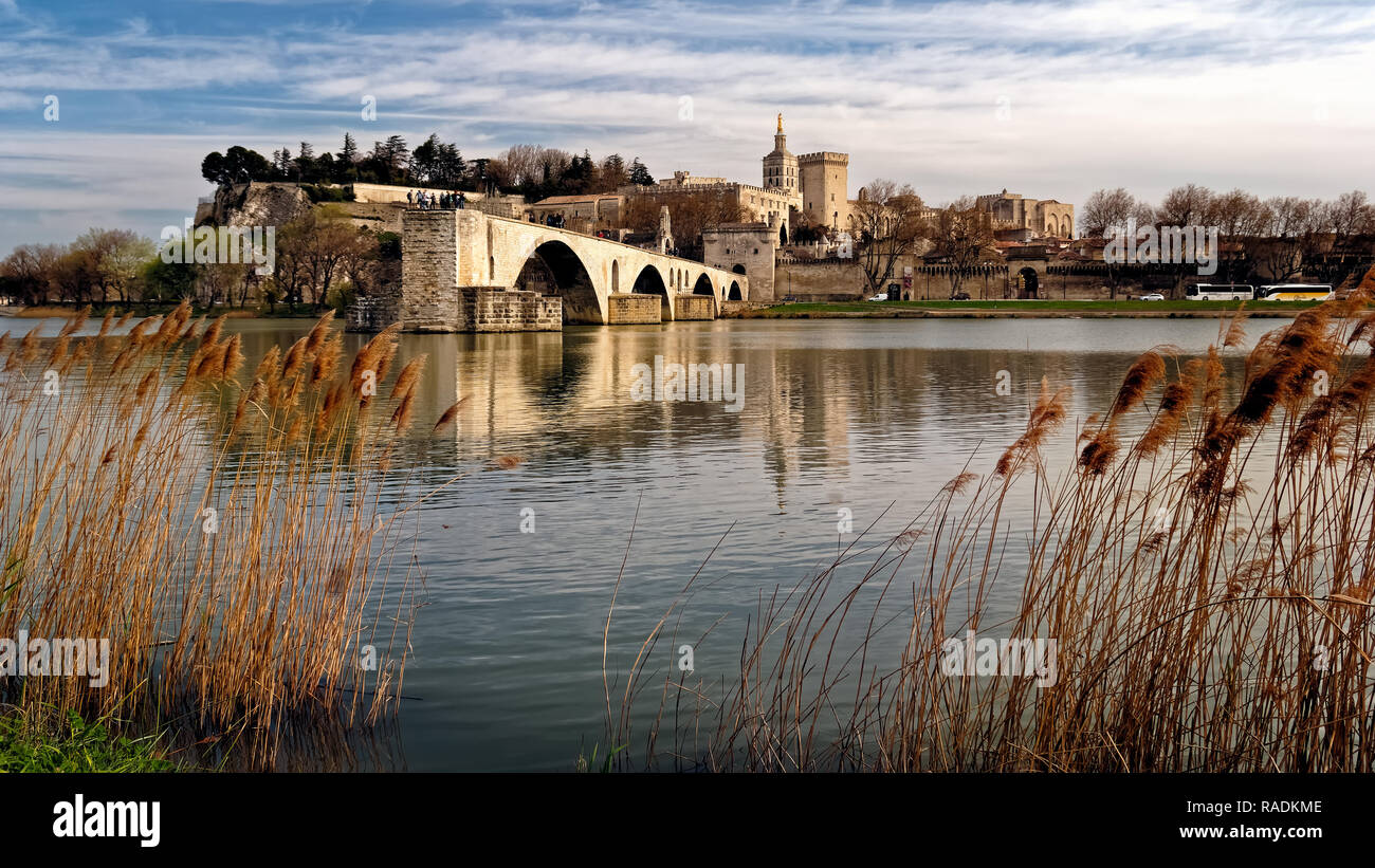 Une vue sur le pont médiéval à travers les joncs sur le Rhône du Pont Saint-Bénezet Avignon et Provence dans le Rhône à partir de la rivière. Banque D'Images