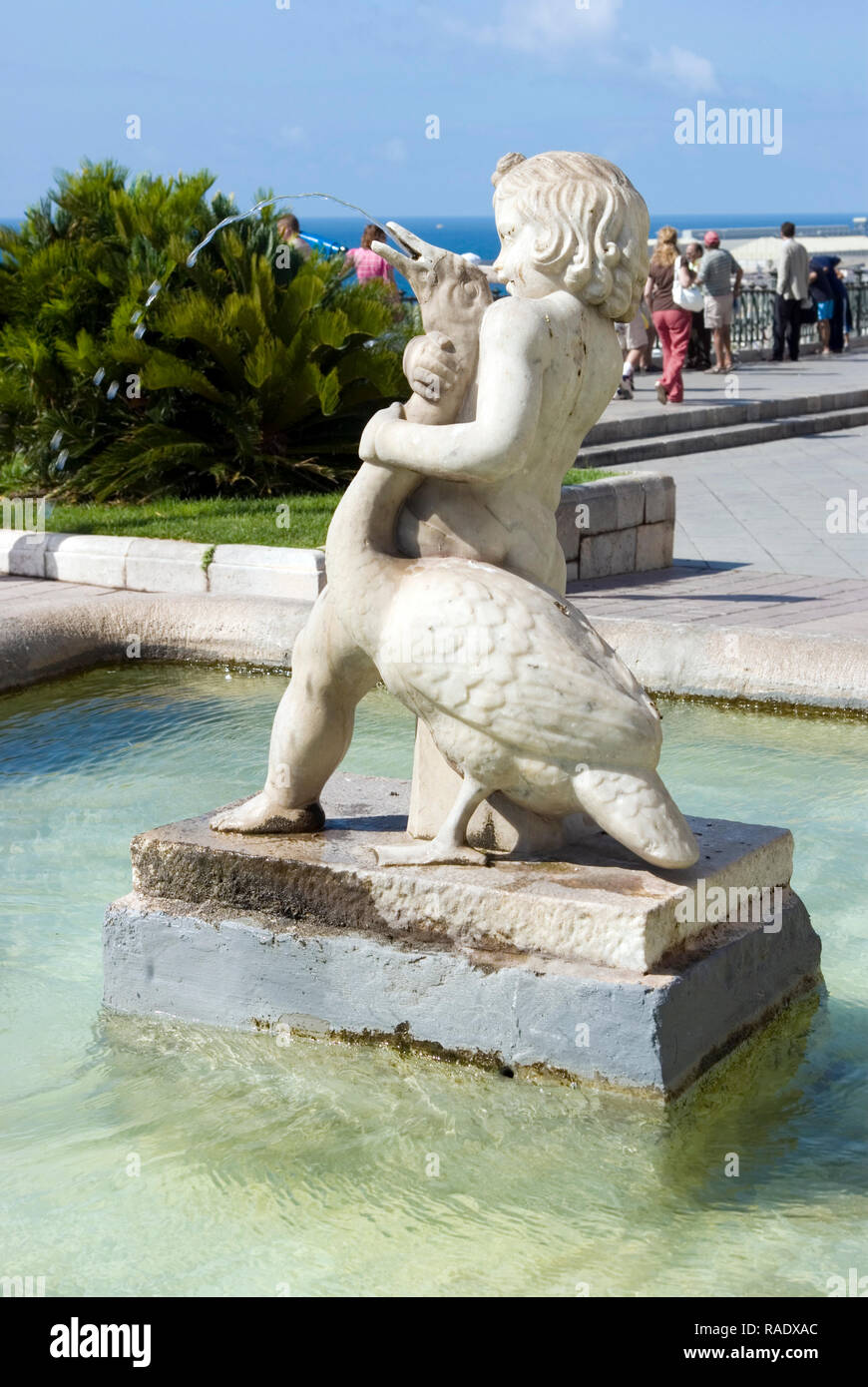 Garçon avec Goose Banque D'Images