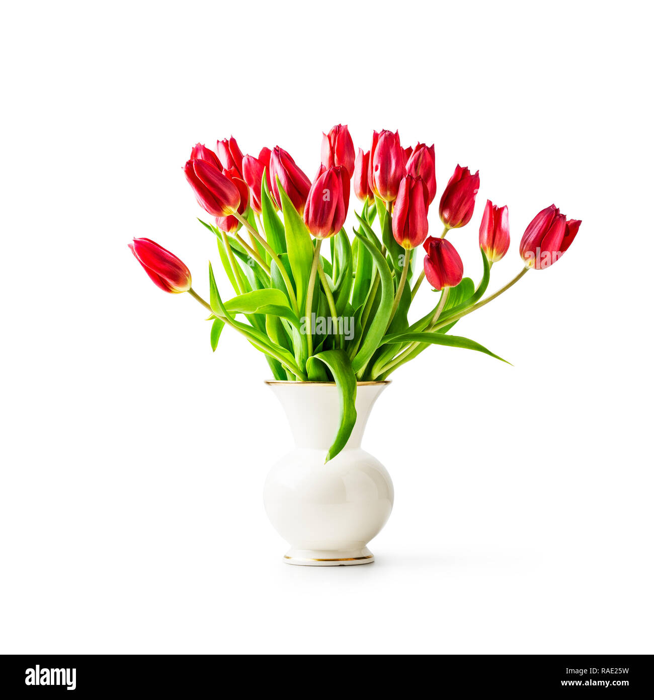 Tulipe rouge fleurs dans vase en porcelaine vintage. Seul objet isolé sur fond blanc chemin de détourage inclus. Fleur de jardin de printemps Banque D'Images