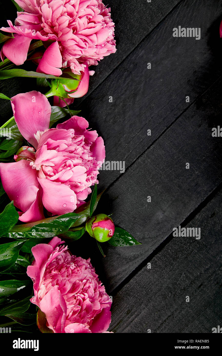 Belles Fleurs Rose Sur Fond Noir Copie Espace Vue D En Haut Mise A Plat Style Carte De Vœux Femme Ou De La Mere 24 Anniversaire Photo Stock Alamy