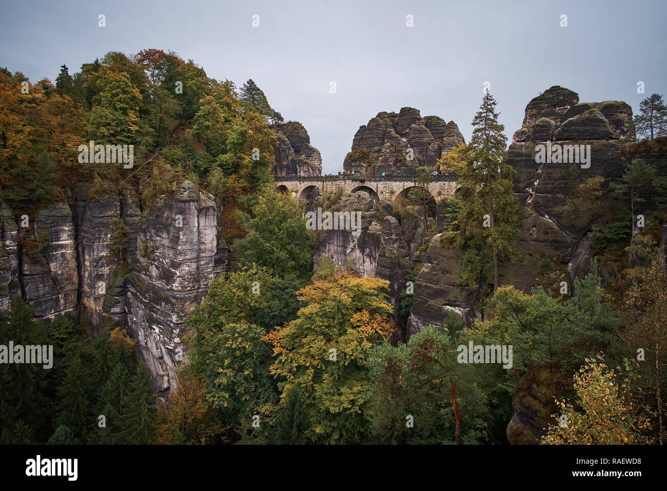 Pont de pierre Bastei dans la Suisse saxonne avec la brume des pluies au cours de l'Elbe, la Suisse Saxonne Parc National. Banque D'Images