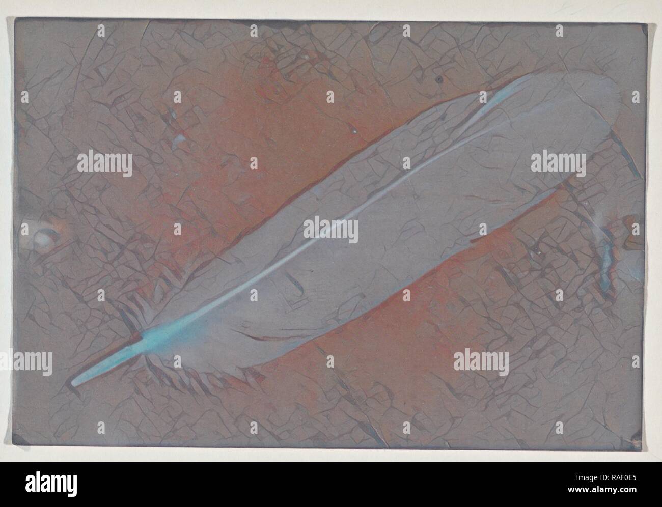 Plume, vers 1850 dessin photogénique, 14,4 x 9,8 cm (5 x 3 11,16 7,8 in.). Repensé par Gibon. L'art classique avec un repensé Photo Stock
