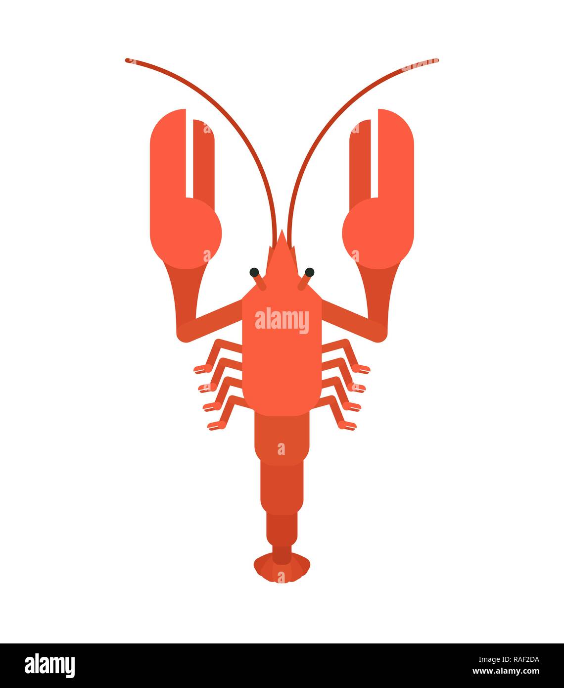 Rouge écrevisse isolés. Crustacé marin délicatesse. Vector illustration Illustration de Vecteur