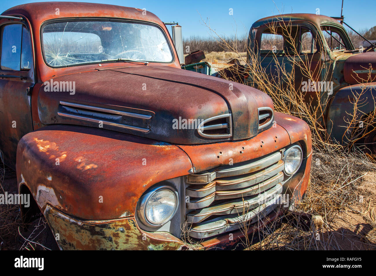 Old Timer dans le désert de l'Arizona USA Banque D'Images