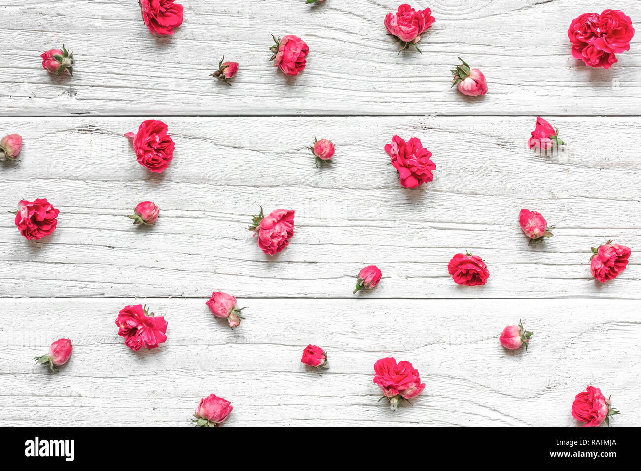 Fleurs rose rose composition faite de fleurs et de bourgeons. Valentine's day ou journée femmes arrière-plan. Mise à plat, vue du dessus Banque D'Images