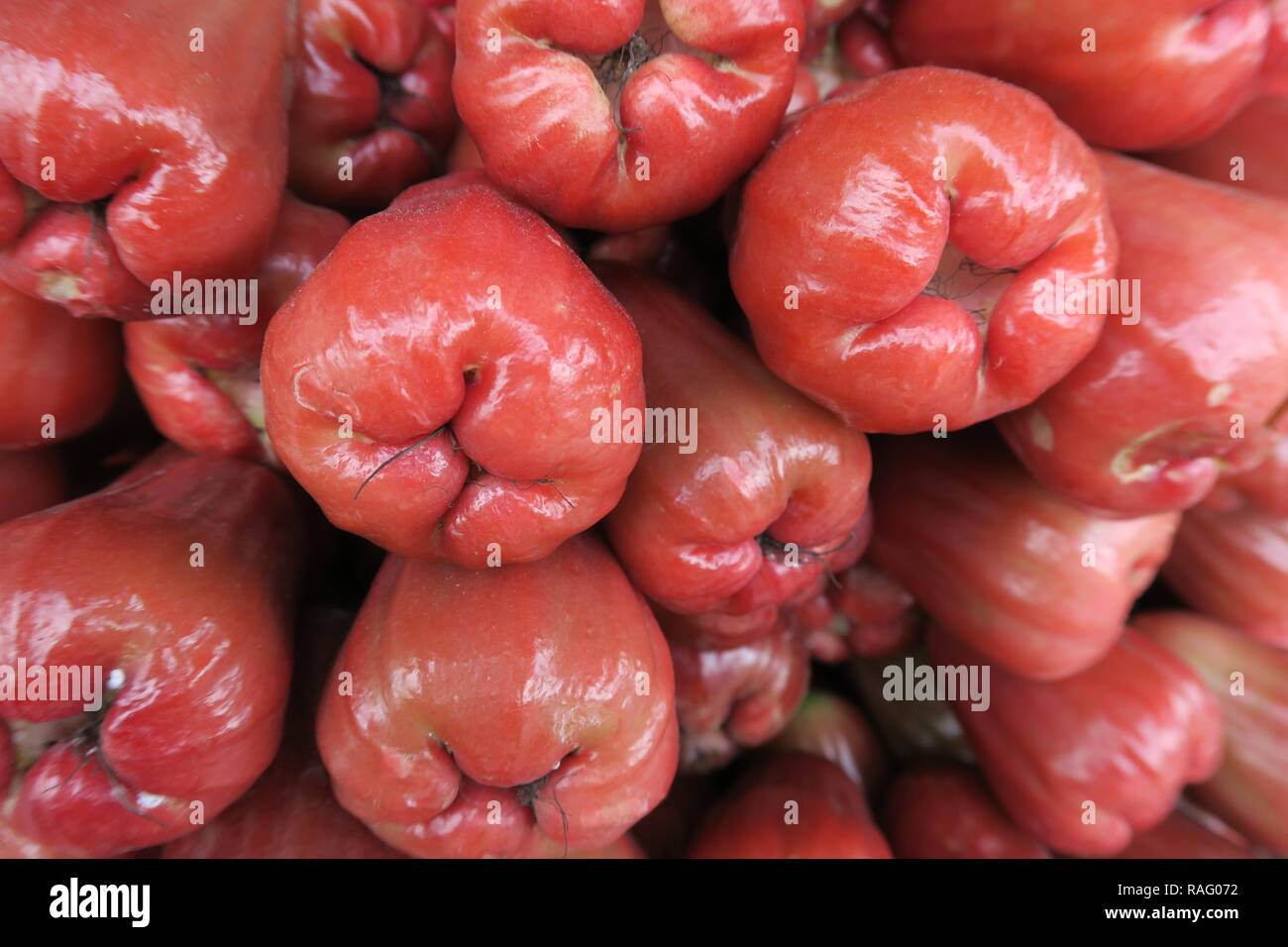 Pommes Rose, Co Giang Marché, Ho Chi Minh City, Vietnam Banque D'Images