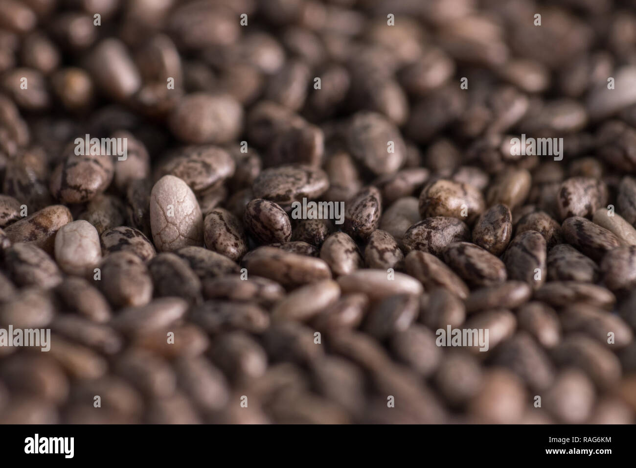 Les graines de quinoa dans la close up Banque D'Images