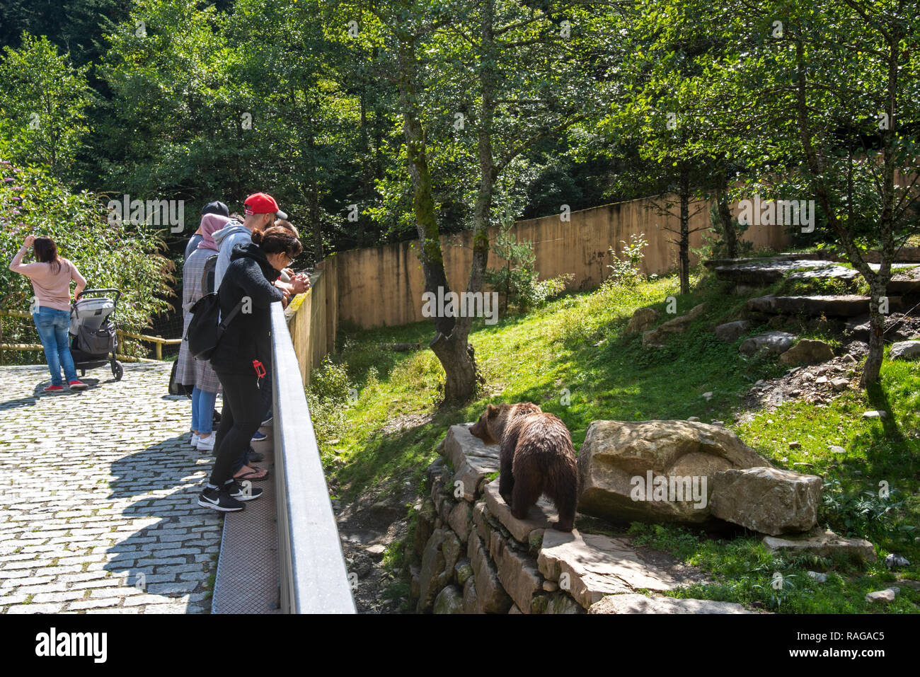 Visiteurs regardant l'ours brun en captivité dans un boîtier à l'Aran Park Zoo, parc animalier / Le jardin zoologique à Bossost, Lleida, Pyrénées, la Catalogne, Espagne Banque D'Images