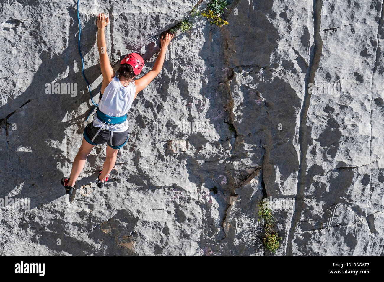 Rock climber climbing rock face dans les Gorges du Verdon / Gorges du Verdon canyon, Bouches-du-Rhône, Provence-Alpes-Côte d'Azur, France Banque D'Images