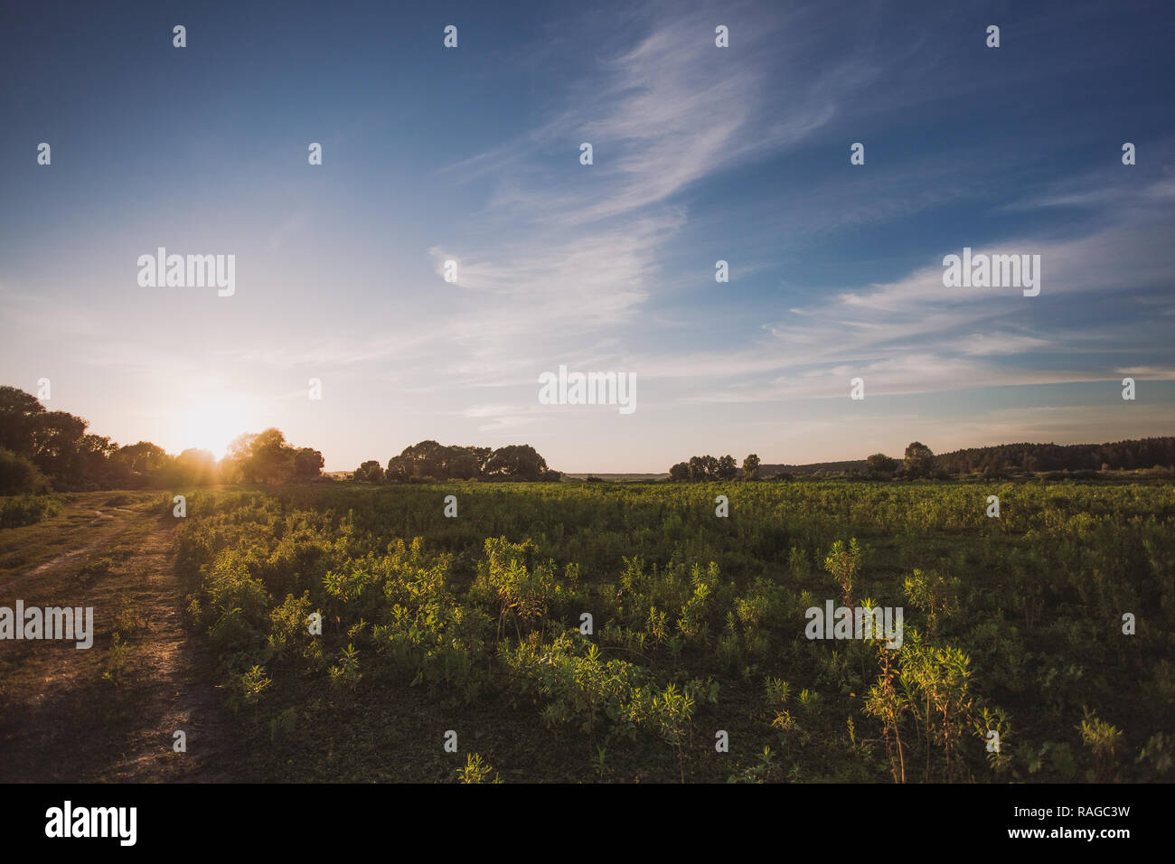 Paysage pittoresque de campagne paisible avec coucher et au lever du soleil, vert herbe sauvage, route de campagne et ciel bleu avec des nuages blancs doux calme. Tendre nature b Banque D'Images