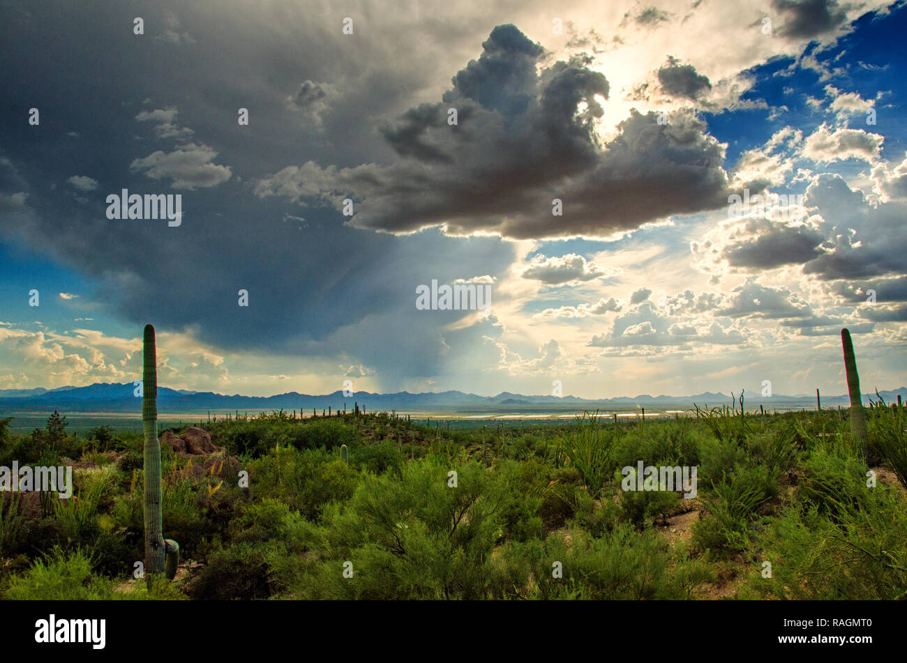 Ciel dramatique avec les nuages de tempête à travers le désert de l'Arizona au sud-ouest Banque D'Images