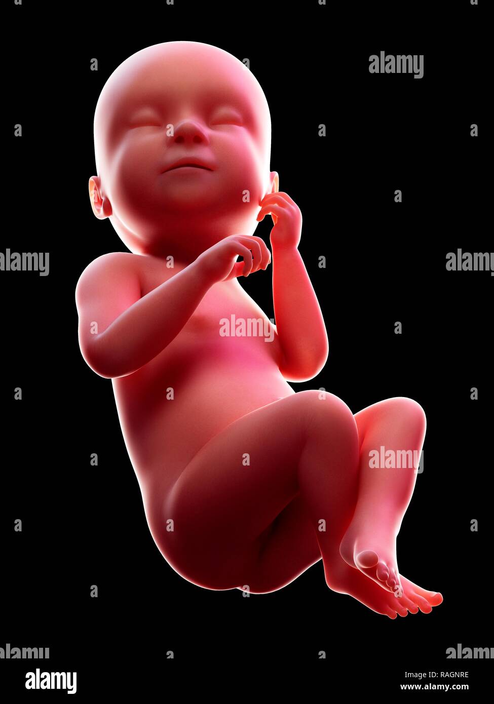 Enceinte de 38 semaines Banque de photographies et d’images à haute résolution Alamy