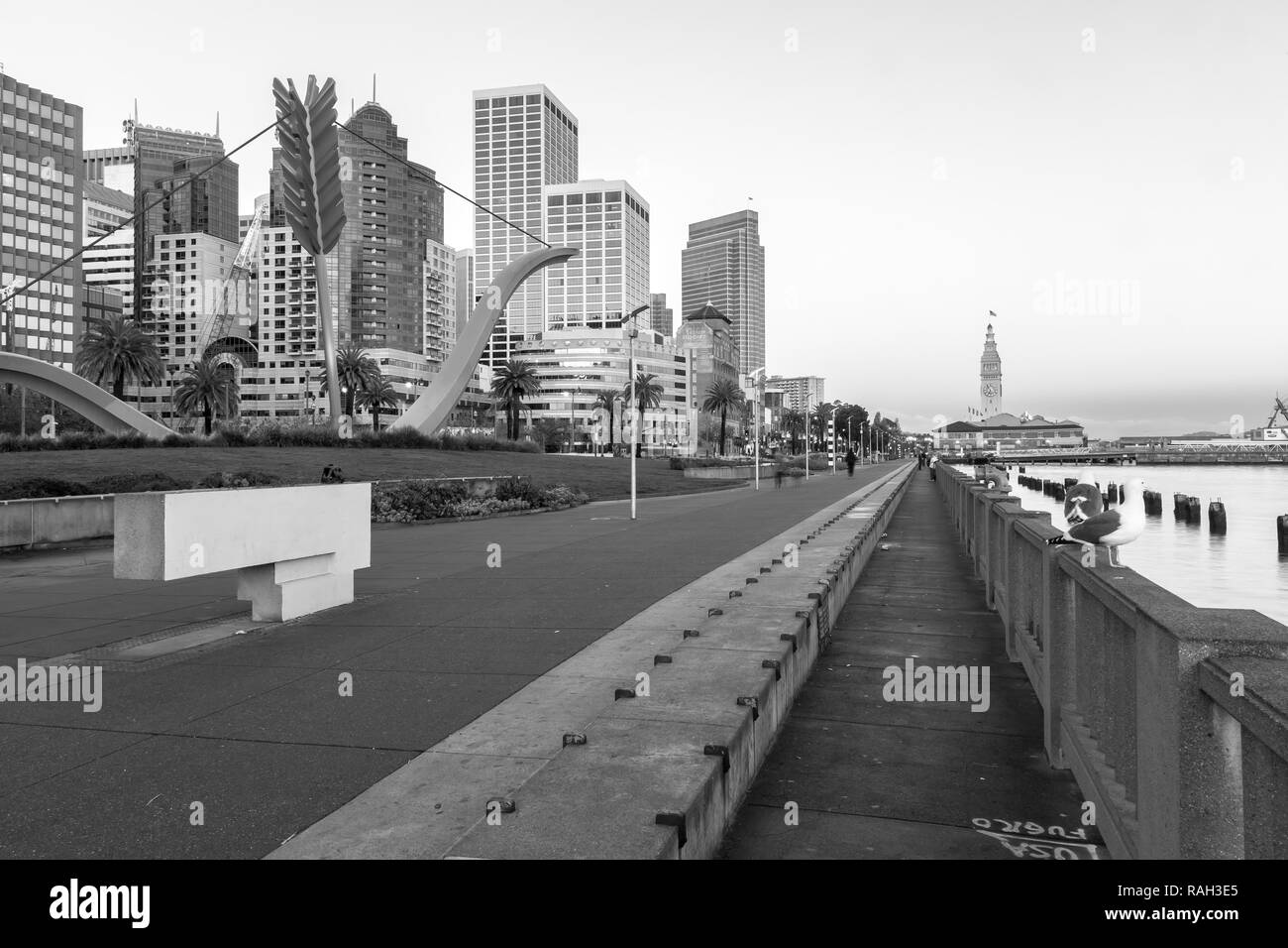 Parc au bord de l'eau à l'Embarcadero, avec le centre-ville de San Francisco et Ferry Building en arrière-plan, de grand matin, en Californie, aux États-Unis. Banque D'Images