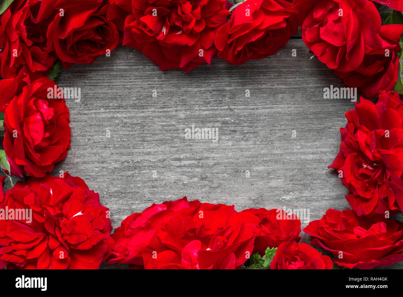 Cadre fait de roses rouges fleurs sur table en bois rustique. valentines day ou journée femmes fond. Télévision. Vue de dessus with copy space Banque D'Images