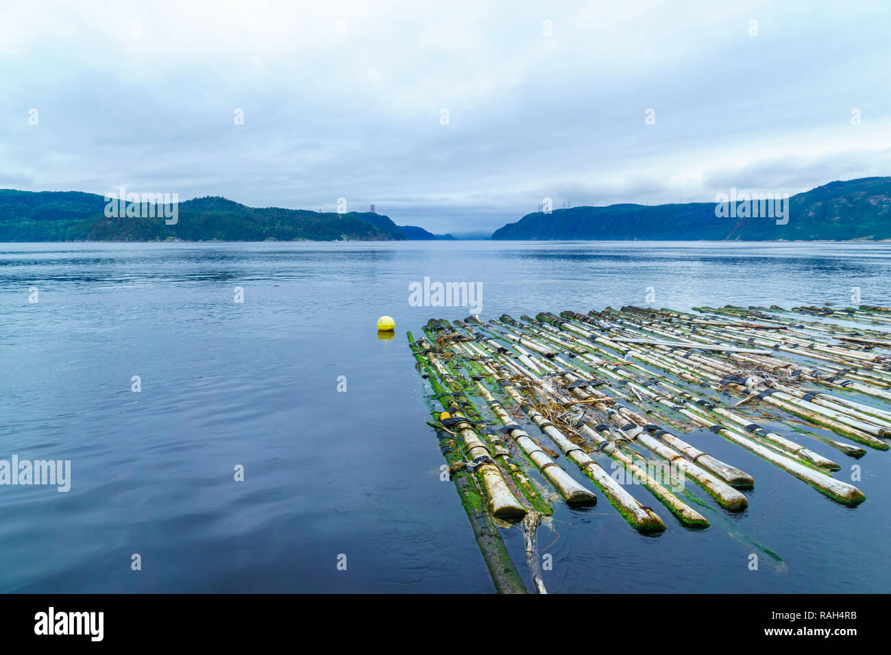 Voir des billes et du fjord du Saguenay en L-Anse-de-Roche, Québec, Canada Banque D'Images