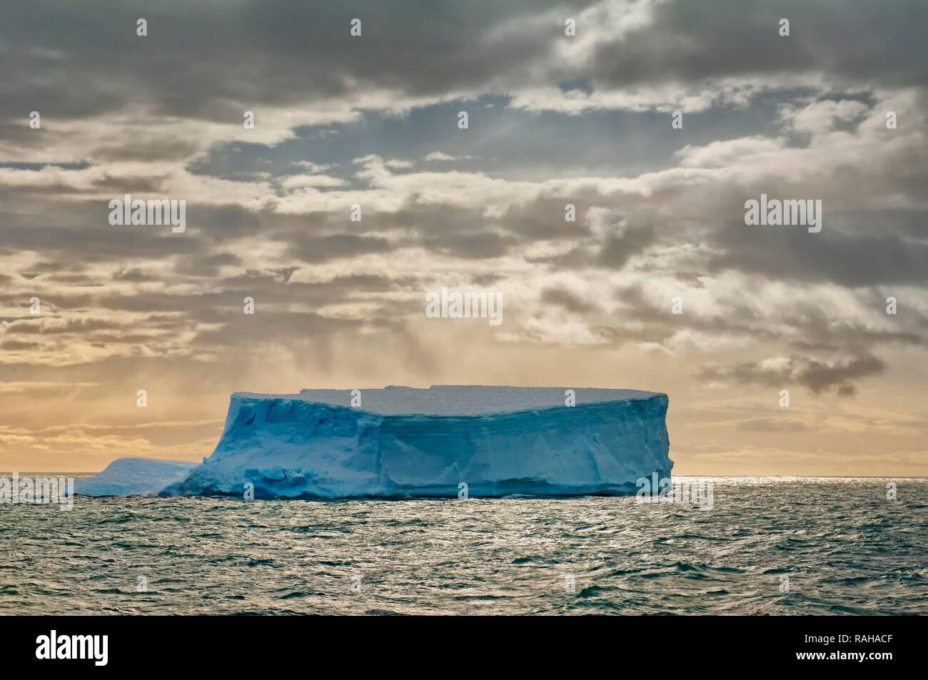 Iceberg flottant près d'Fortuna Bay, South Georgia Island Banque D'Images