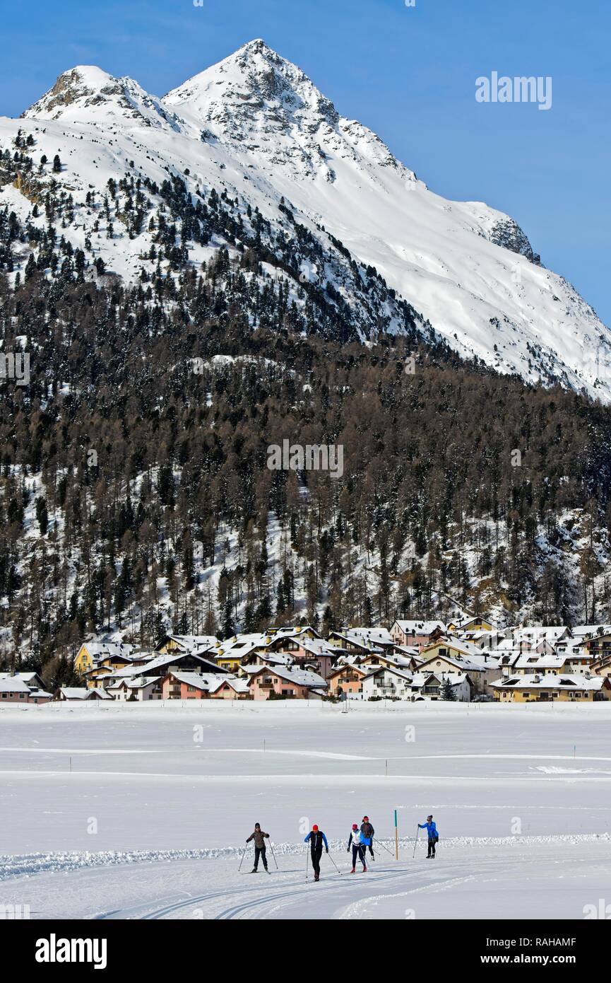 Ski de fond dans la piste de ski de fond, ski de fond dans la zone de Silvaplana, sommet Piz Polaschin retour Banque D'Images