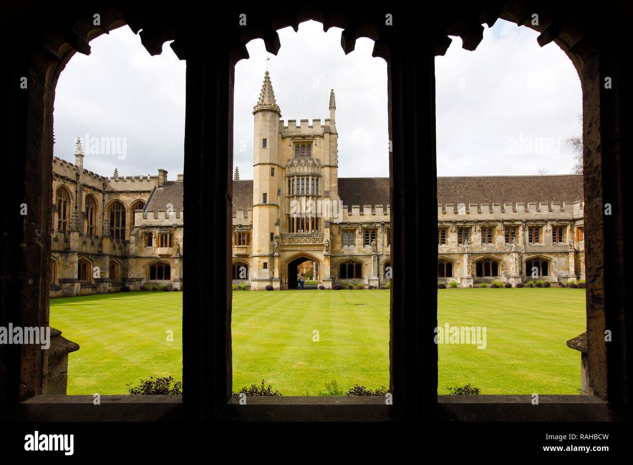 Le cloître, Magdalen College, l'un des 39 collèges, qui sont tous indépendants et forment ensemble l'Université d'Oxford Banque D'Images