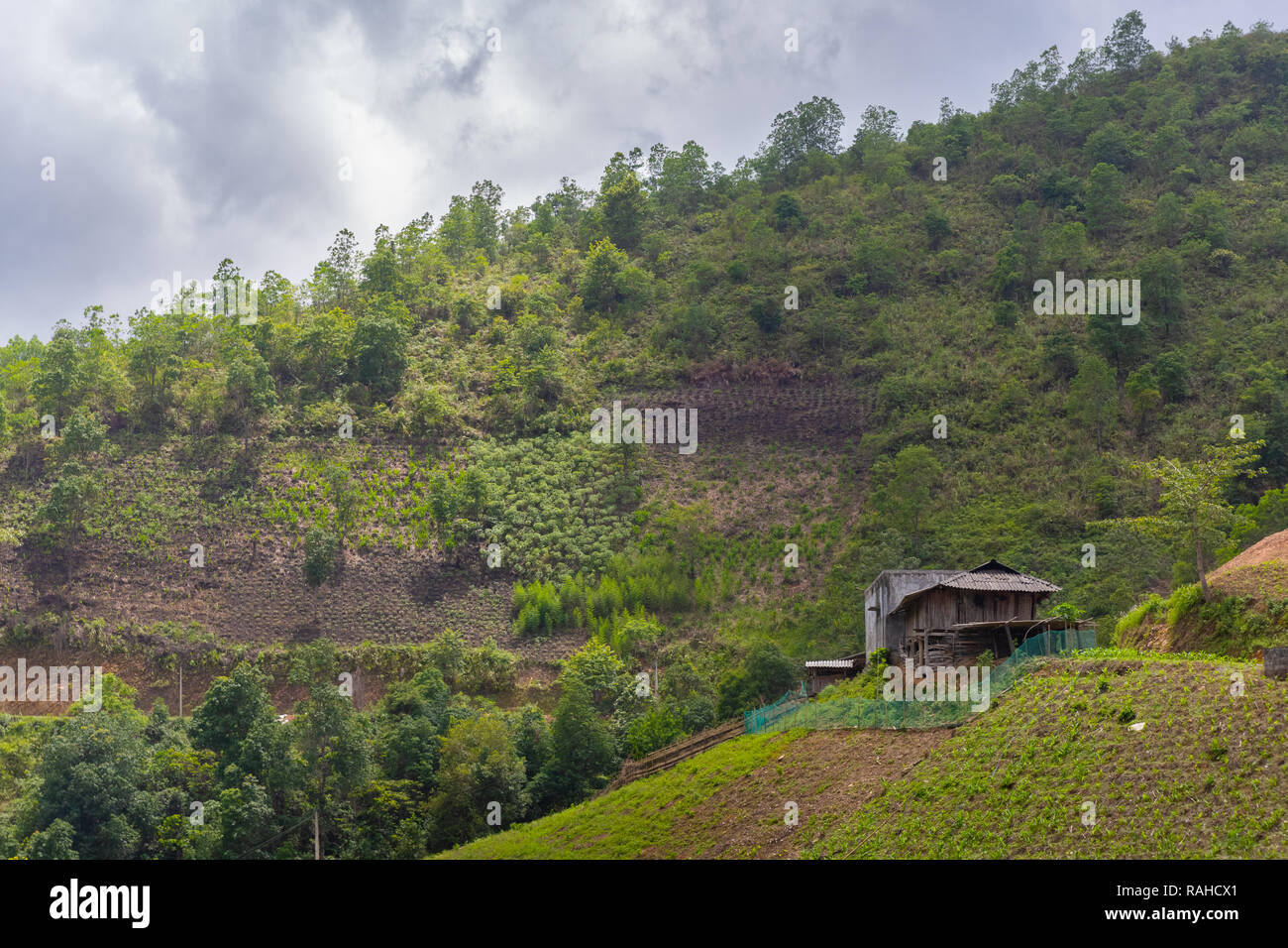 Vue d'une petite colline en bois ferme. Ha Giang Province Ha Giang, Boucle, Vietnam, Asie Banque D'Images