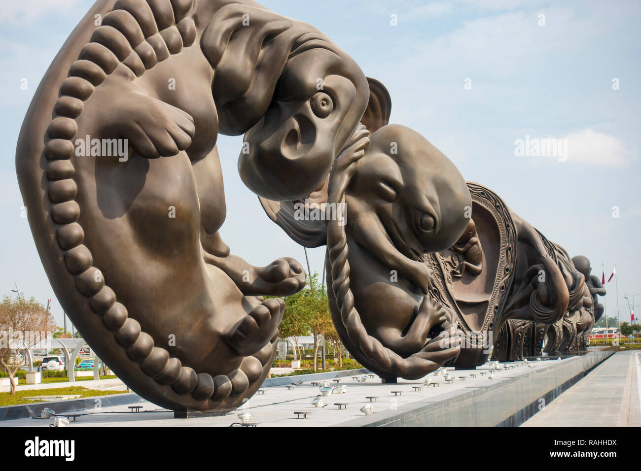 Nouvelles sculptures montrant étapes de l'accouchement dans l'utérus par Damien Hirst à Sidra Hospital à Doha, Qatar Banque D'Images