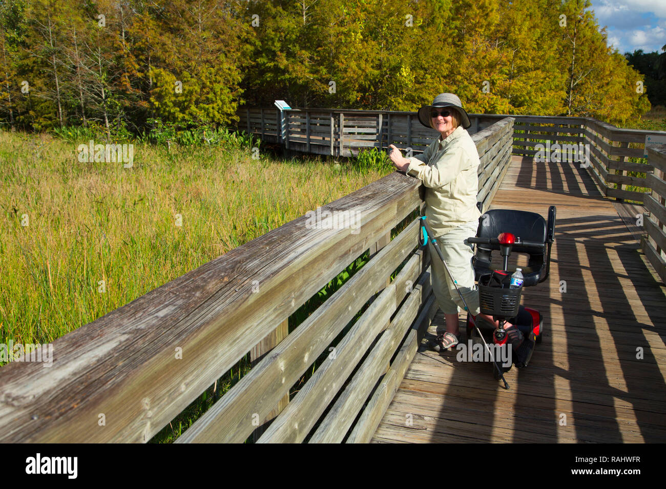 Promenade, Caye verte Nature Centre, Boynton Beach, Floride Banque D'Images