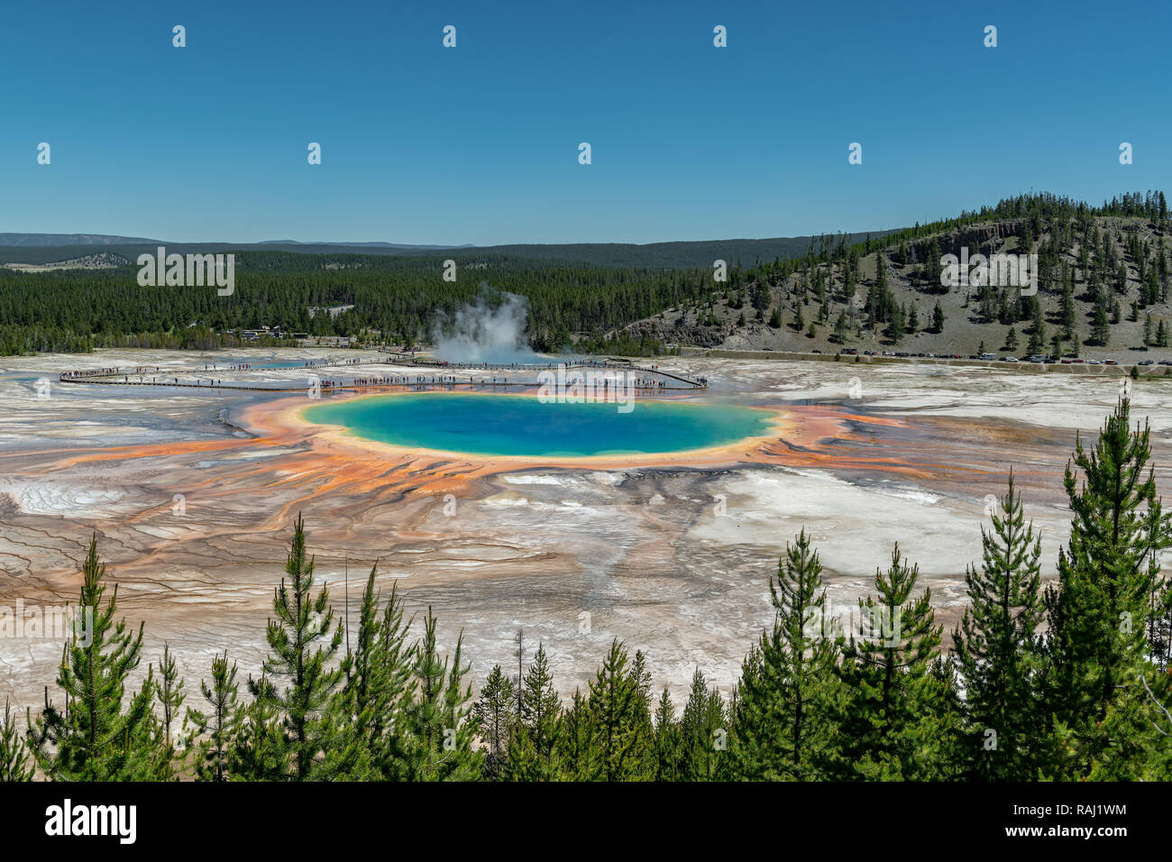 Grand Prismatic Spring. Hot Springs. Le Parc National de Yellowstone. Le Wyoming. USA. Banque D'Images