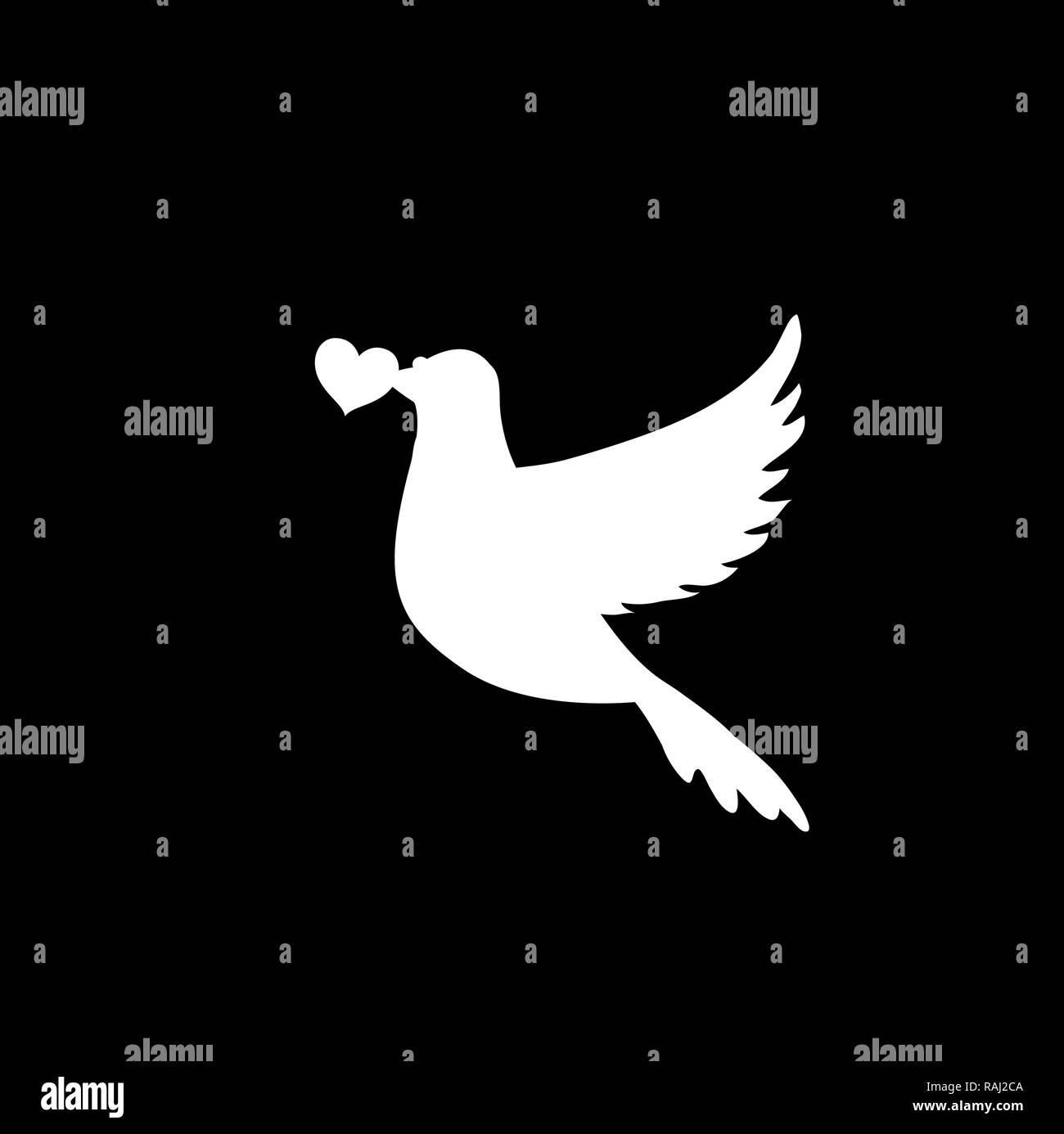 Silhouette blanche de flying pigeon au cœur de bec sur fond noir. Colombe de la paix. Concept d'amour, signe d'oiseaux, illustration pour mariage, Valen Banque D'Images