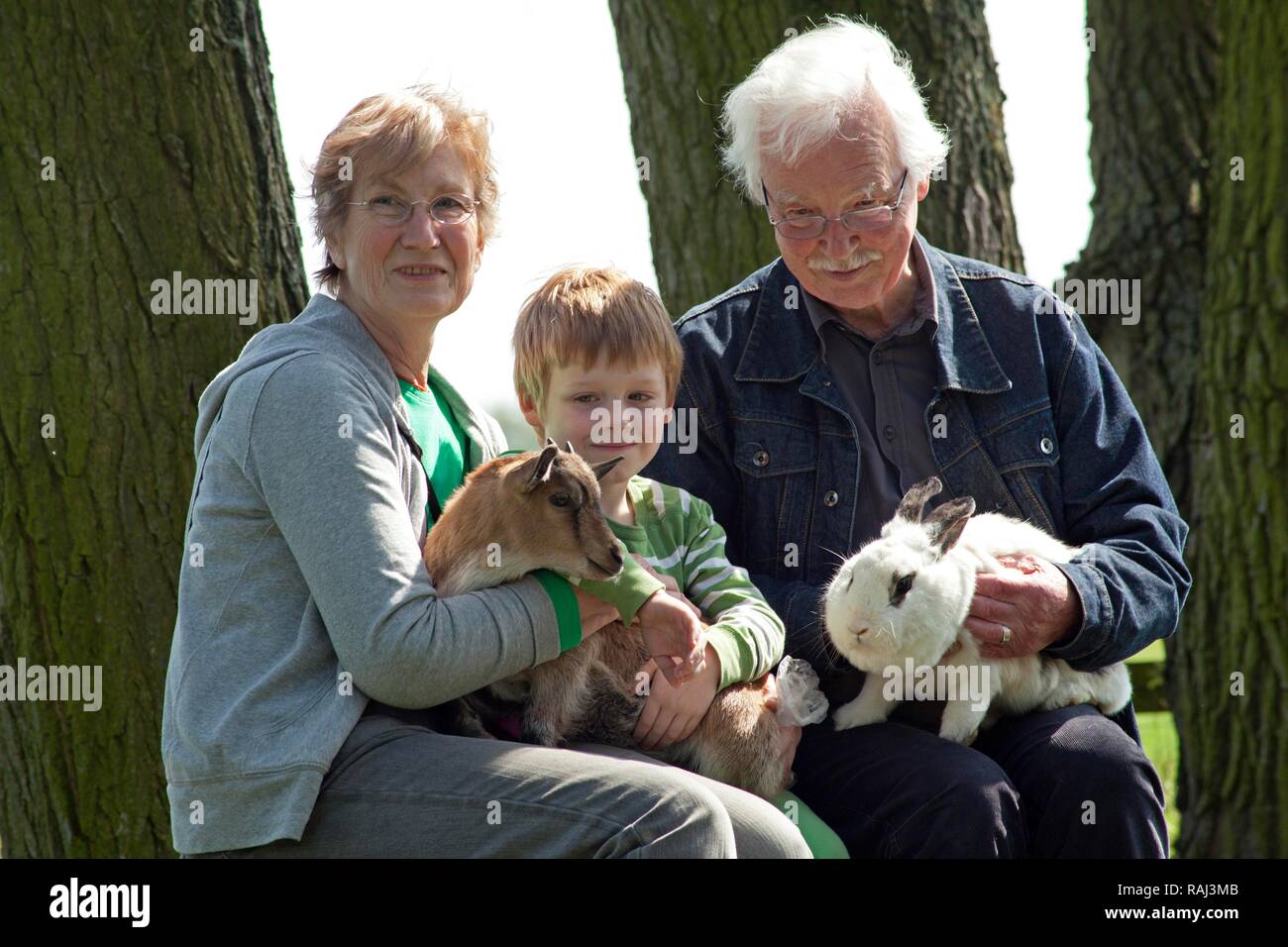 Couple de personnes âgées avec leur petit-enfant à une ferme pour enfants ou zoo, Wilhelmsburg, Hambourg Banque D'Images