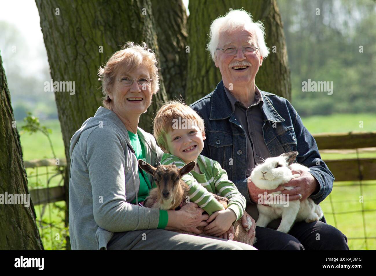 Couple de personnes âgées avec leur petit-enfant à une ferme pour enfants ou zoo, Wilhelmsburg, Hambourg Banque D'Images