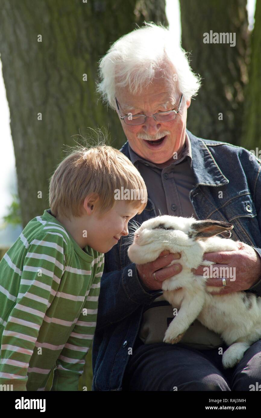 Grand-père avec son petit-fils à la ferme pour enfants ou zoo, Wilhelmsburg, Hambourg Banque D'Images