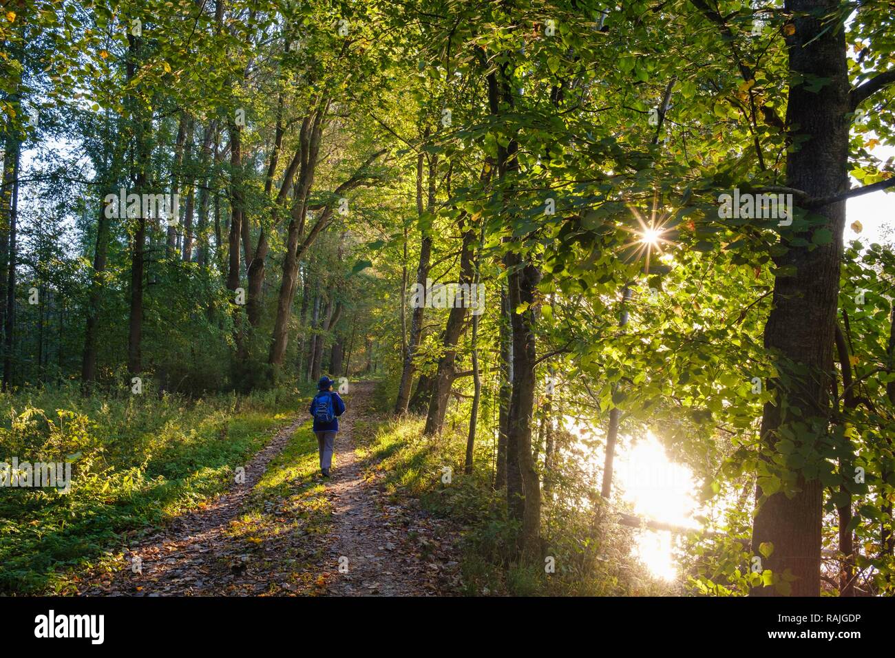 Sentier de randonnée femme sur sur l'Isar, l'humeur du matin, réserve naturelle près de Niederhummel Isarauen, district de Freising, Haute-Bavière Banque D'Images