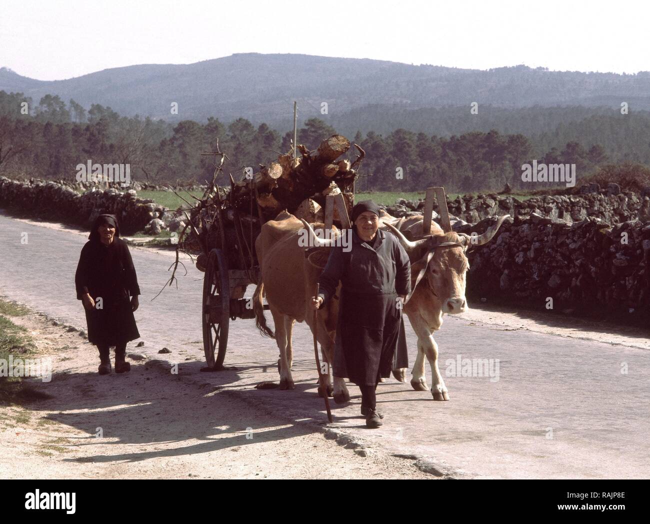 AGRICULTORES. Lieu : extérieur. PROVINCIA. Orense. L'ESPAGNE. Banque D'Images