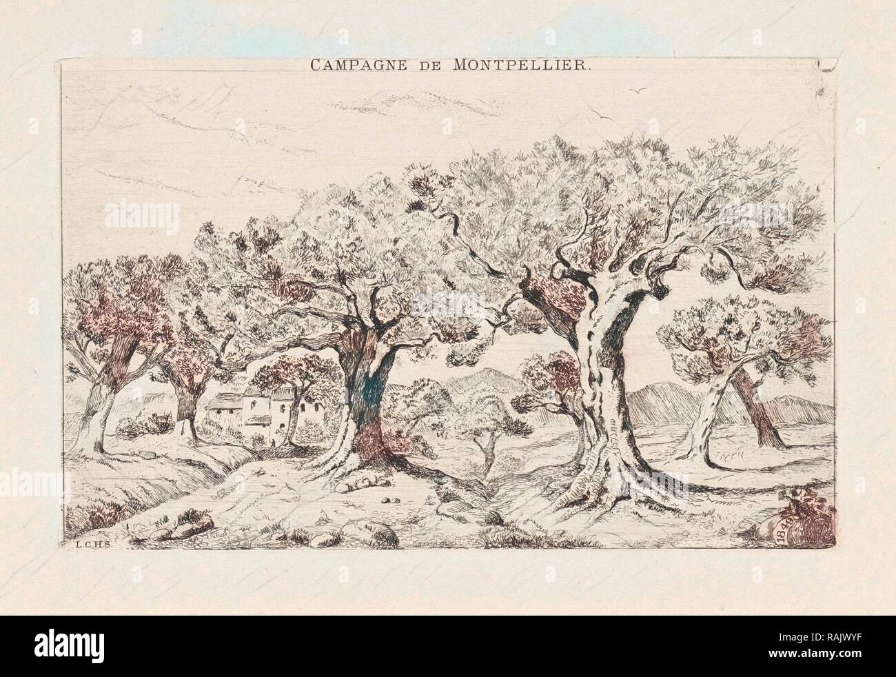 Paysage avec oliviers en France, Montpellier imprimer bouilloire : Louis  Charles Hora Siccama. Repensé Photo Stock - Alamy