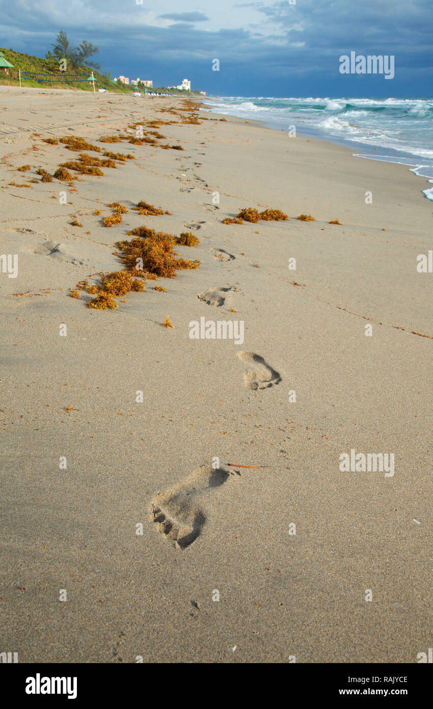 Plage, Parc de South Beach, Boca Raton, Floride Banque D'Images